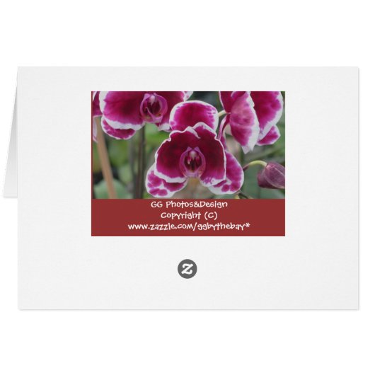 Burgundy Orchids (Back Horizontal)