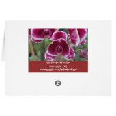 Burgundy Orchids Cards (Back Horizontal)