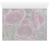 Burgundy Orchids Cards (Inside Horizontal (Bottom))