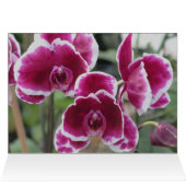 Burgundy Orchids Cards (Inside Horizontal (Top))