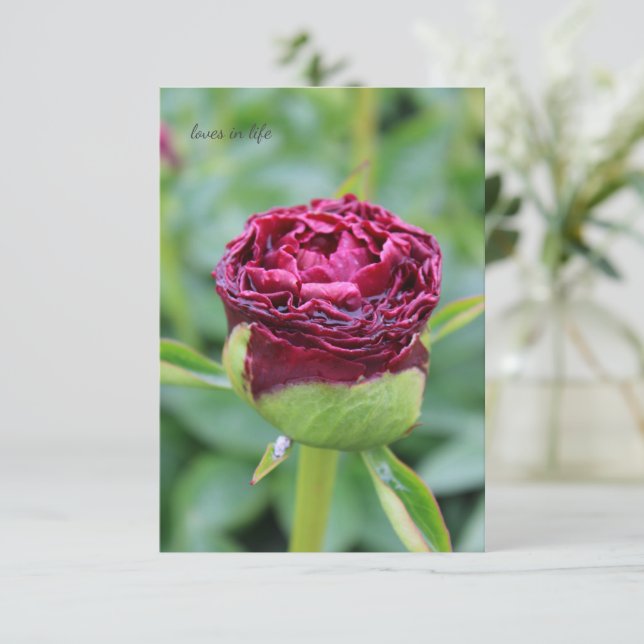 Burgundy Peony Bud Note Card (Standing Front)