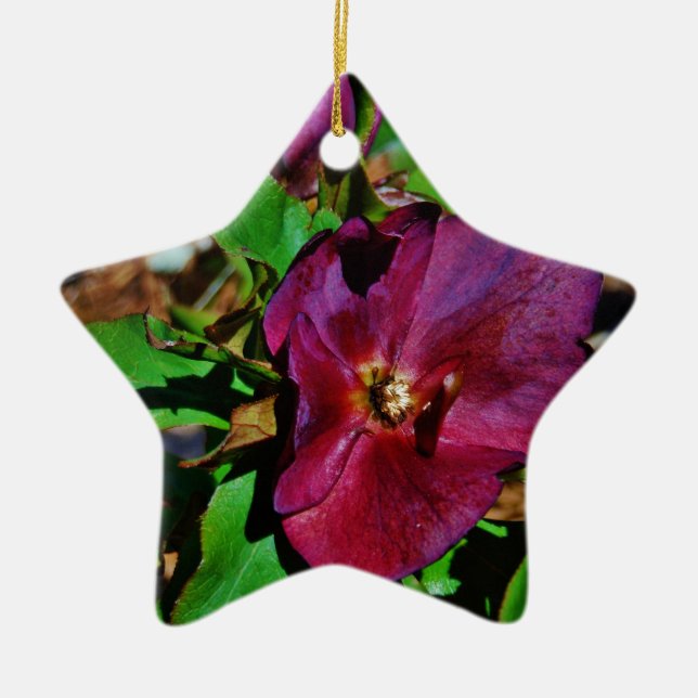 Burgundy Pink Lenten Rose Ceramic Ornament (Front)