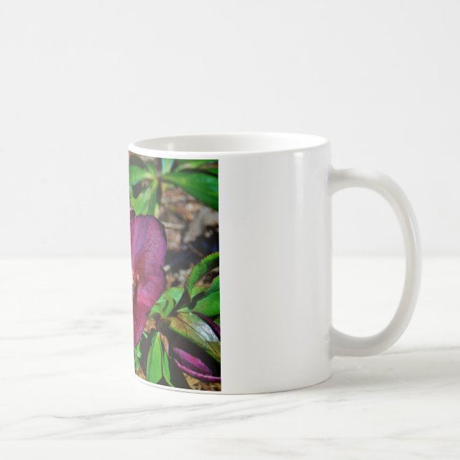 Burgundy Pink Lenten Rose Coffee Mug (Right)