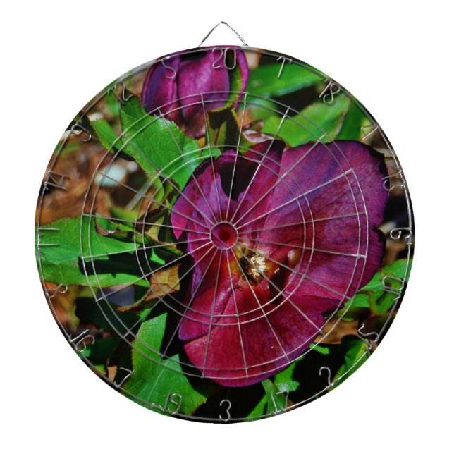 Burgundy Pink Lenten Rose Dart Board (Front)