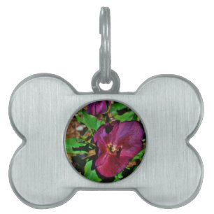 Burgundy Pink Lenten Rose Pet Tag