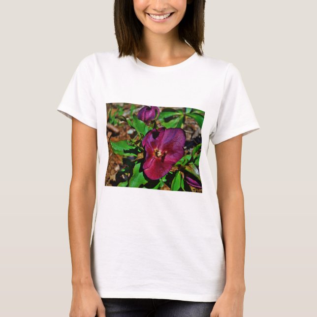 Burgundy Pink Lenten Rose T-Shirt (Front)