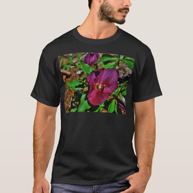 Burgundy Pink Lenten Rose T-Shirt (Front)