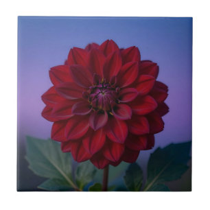 Burgundy Red Dahlia Flower Elegant Ceramic Tile