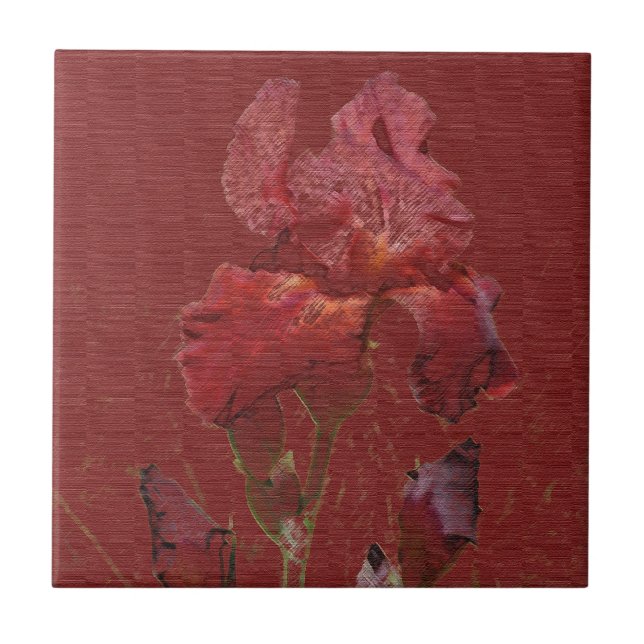 Burgundy Red Iris Garden Flower Tile (Front)