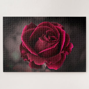 Burgundy Rose Jigsaw Puzzle