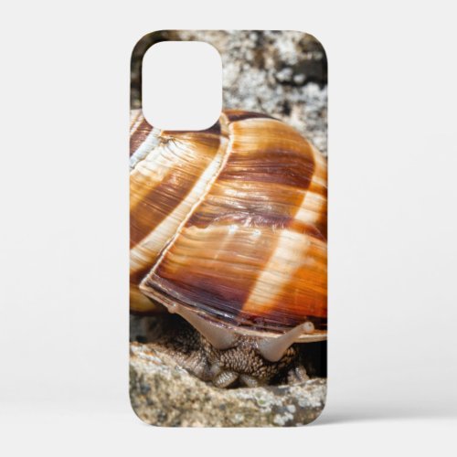 Burgundy snail  iPhone 12 mini case