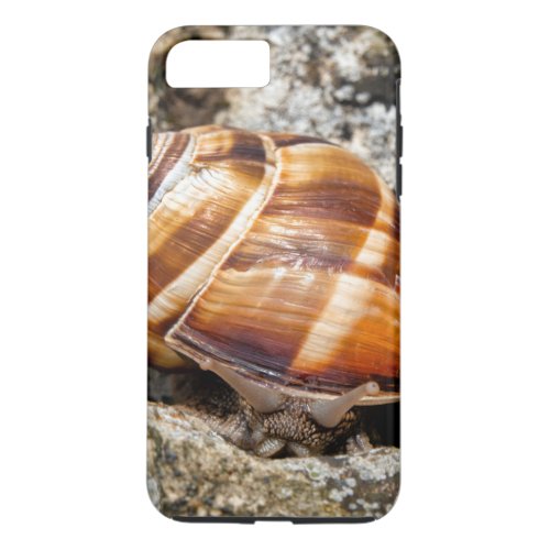 Burgundy snail  iPhone 8 plus7 plus case