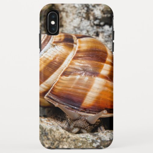 Burgundy snail  iPhone XS max case
