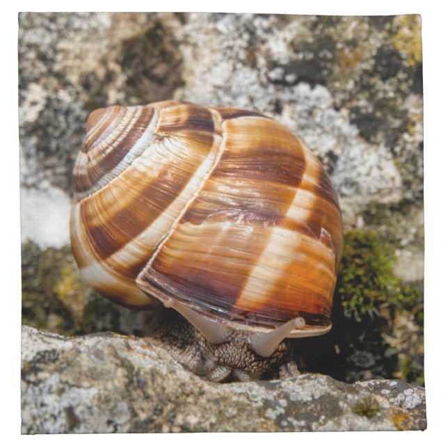 Burgundy snail  cloth napkin (Front)