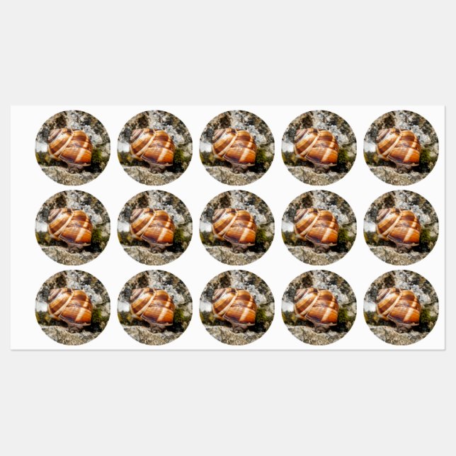 Burgundy snail  labels (Sheet)