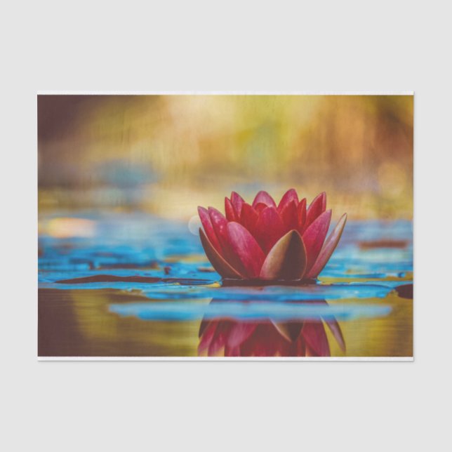 Burgundy Water Lily Tissue Paper (Front)