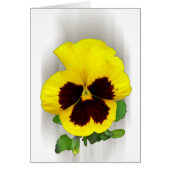 burgundy yellow pansy (Front)