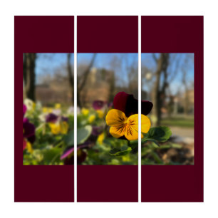 Burgundy yellow pansy triptych