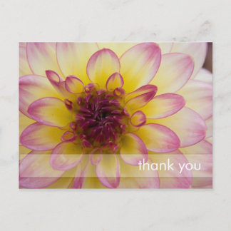Burgundy, Yellow & White Dahlia Postcard