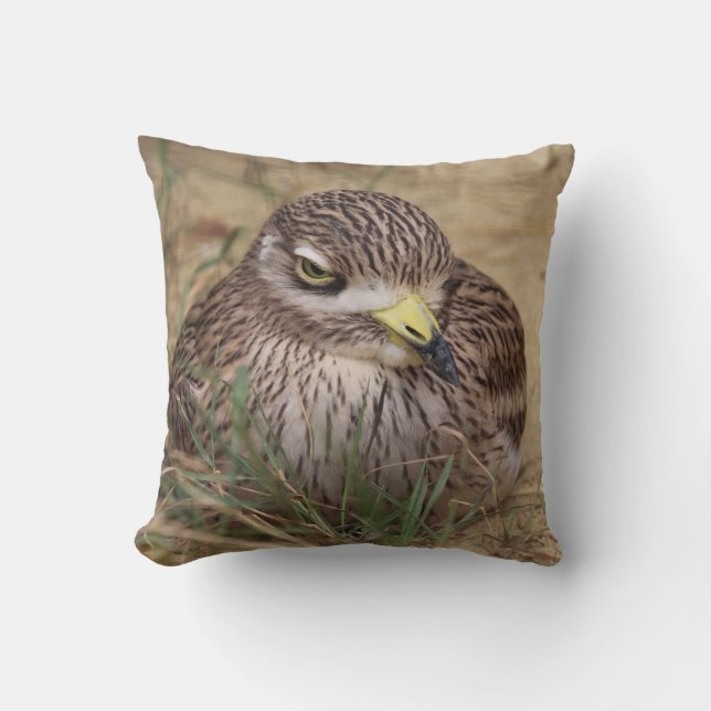Burhinus oedicnemus throw pillow (Front)