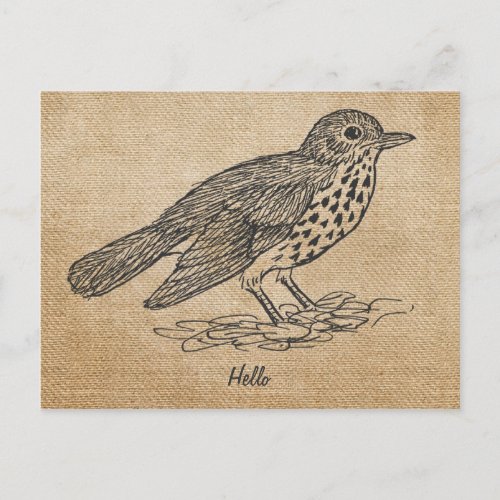 Burlap Rustic Hello Little bird Postcard