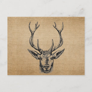Burlap Vintage Deer Head Hunting Postcard