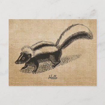Burlap Vintage Skunk Postcard by MarceeJean at Zazzle