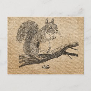 Burlap Vintage Squirrel Postcard by MarceeJean at Zazzle
