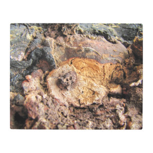 Burled Wood Metal Wall Art