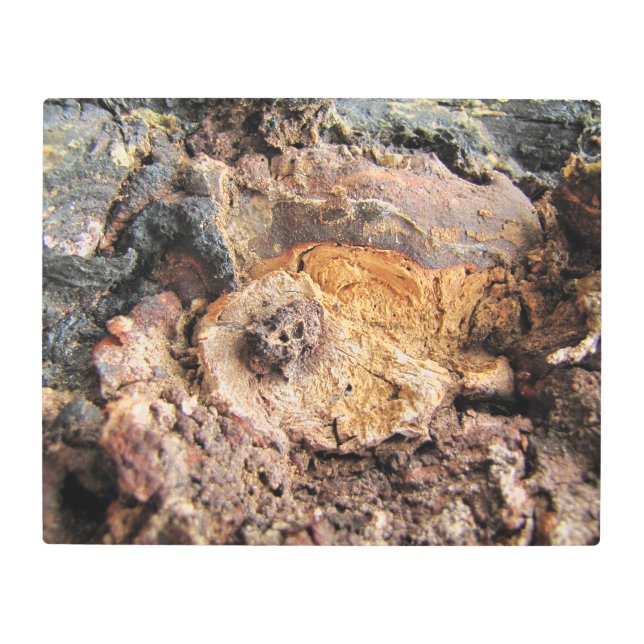 Burled Wood Metal Wall Art (Front)