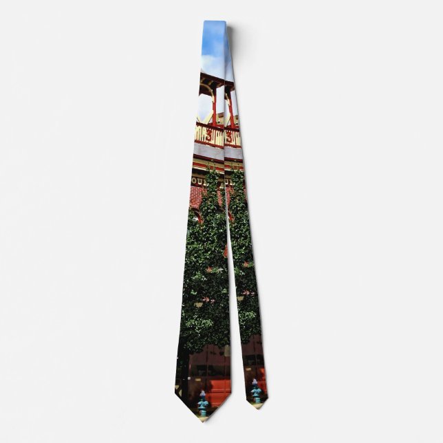 Burlington NJ - Street in Historic District Neck Tie (Front)
