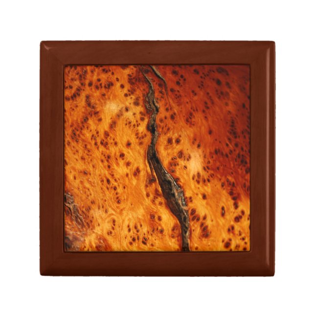 BURLWOOD ALLIGATOR JUNIPER IMAGE GIFT BOX (Front)