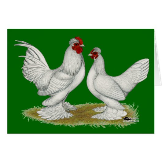 Burmese Bantams Cards (Front Horizontal)