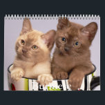 Burmese Calendar<br><div class="desc">A Calendar with 12 different pictures of Burmese Cats</div>