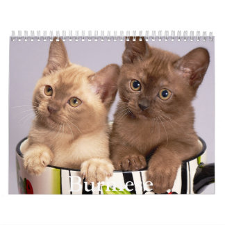 Burmese Calendar