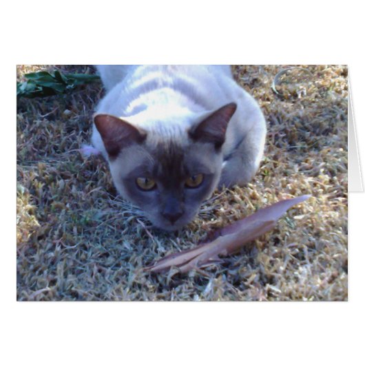 Burmese Cat Card (Front Horizontal)