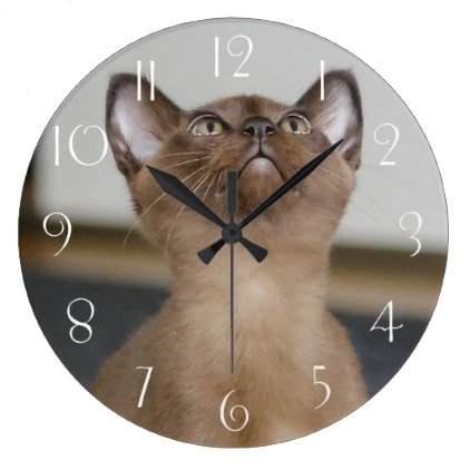 Burmese Kitten Large Clock