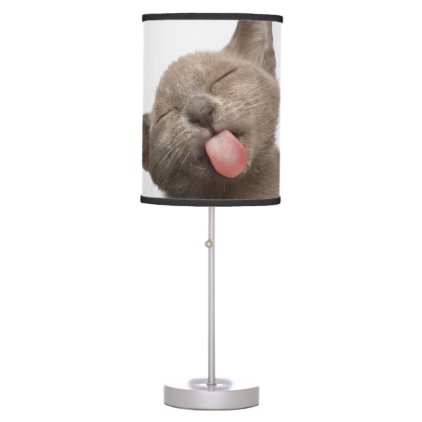 Burmese Kitten on White Background Desk Lamp