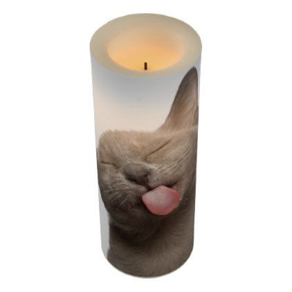 Burmese Kitten on White Background Flameless Candle