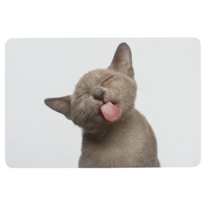 Burmese Kitten on White Background Floor Mat