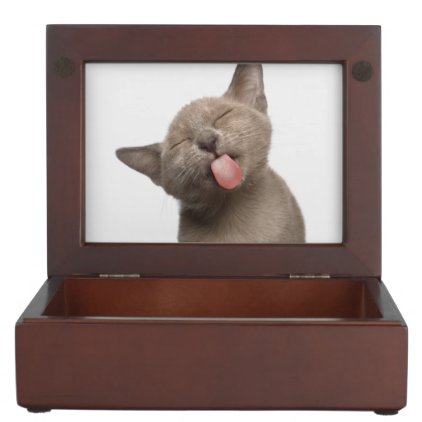 Burmese Kitten on White Background Keepsake Box