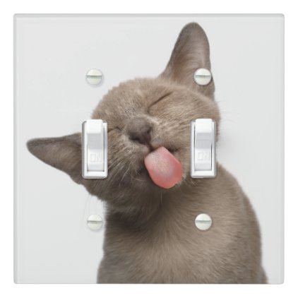 Burmese Kitten on White Background Light Switch Cover