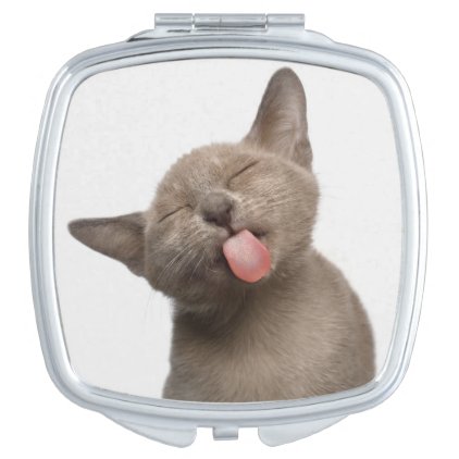 Burmese Kitten on White Background Mirror For Makeup