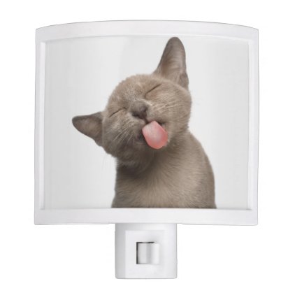 Burmese Kitten on White Background Night Light