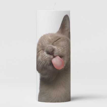 Burmese Kitten on White Background Pillar Candle