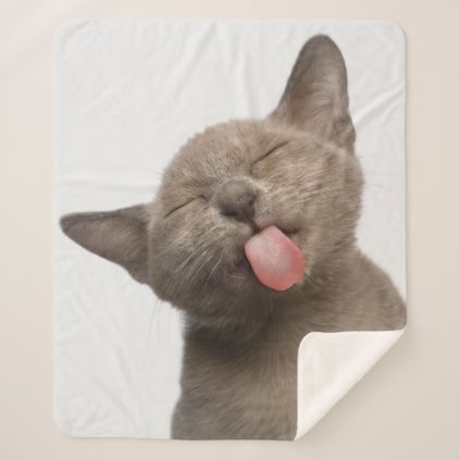 Burmese Kitten on White Background Sherpa Blanket