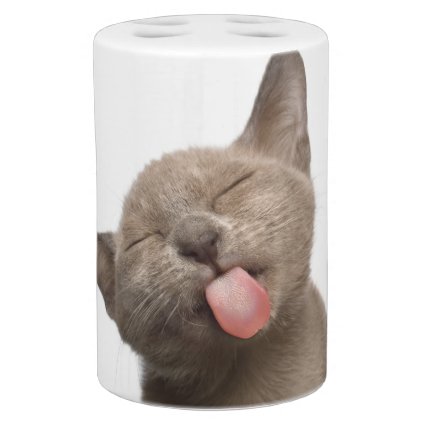 Burmese Kitten on White Background Soap Dispenser &amp; Toothbrush Holder