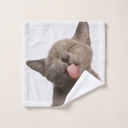 Burmese Kitten on White Background Wash Cloth