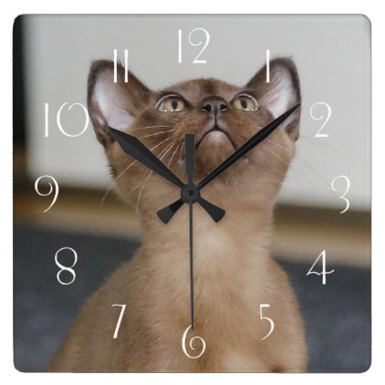 Burmese Kitten Square Wall Clock