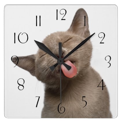 Burmese Kitten tongue lick Square Wall Clock